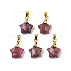 Natural Rhodonite Charms&nbsp;G-N326-142-05