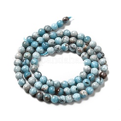 Natural Gemstone Beads Strands&nbsp;G-F730-02A