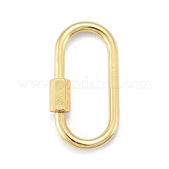 Brass Screw Carabiner Lock Charms&nbsp;ZIRC-E164-12G