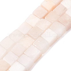 Natural Selenite Beads Strands&nbsp;G-B155-C08-8x8mm