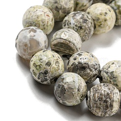 Faceted Natural Fire Crackle Agate Beads Strands&nbsp;G-F447-12mm-H03