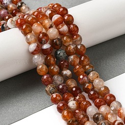 Dyed & Heated Natural Fire Crackle Agate Beads Strands&nbsp;G-P539-B01-19