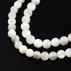 Natural White Shell Bead Strands&nbsp;SSHEL-N003-144C-01