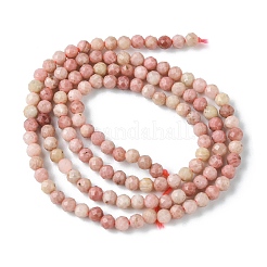 Natural Rhodonite Beads Strands&nbsp;G-F748-U01-02