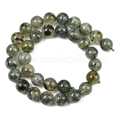 Natural Prehnite Beads Strands&nbsp;G-P322-48-8mm