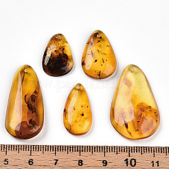 Natural Amber Pendants&nbsp;G-T140-17
