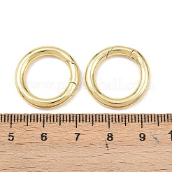 Brass Spring Gate Rings&nbsp;KK-Z132-08G