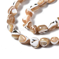Natural Trochid Shell/Trochus Shell Beads Strands&nbsp;SSHEL-S266-015B