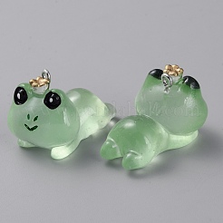 Luminous Transparent Resin Pendants&nbsp;LS-RESI-SZC0004-17B