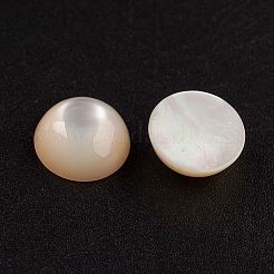 パールシェルカボションのナチュラルホワイトシェルマザー  半円/ドーム  9x4mm&nbsp;SSHEL-G014-13