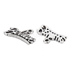 合金のチベット風チャーム  カドミウムフリー＆鉛フリー  言葉を信じる  アンティークシルバー  13x20.5x1.5mm  穴：1.6mm&nbsp;PALLOY-T075-136AS-RS