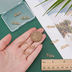 10Pcs Brass Micro Pave Cubic Zirconia Pendants&nbsp;KK-PH0014-23G