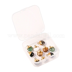10Pcs 5 Style Natural Gemstone Pendants&nbsp;G-LS0002-08