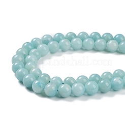 Grade A Natural Amazonite Beads Strands&nbsp;G-C046-01D