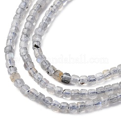 Natural Labradorite Beads Strands&nbsp;G-RM2025-C13-A