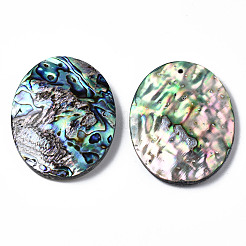 天然アワビシェル/パウアシェルペンダント  淡水シェル  オーバル  50x40x7~9mm  穴：1.4mm&nbsp;SSHEL-N034-89