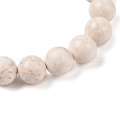 Natural Fossil Round Beaded Stretch Bracelets&nbsp;G-U005-01C-01