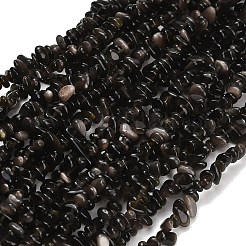 天然銀光沢の黒曜石ビーズ 連売り  チップ  3~4x4~13x1.5~4mm  穴：0.5~0.6mm  27.44~30.39''（69.7~77.2センチメートル）&nbsp;GG-CBAE051-A03-02