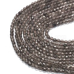 Natural Smoky Quartz Beads Strands&nbsp;G-A260-A53-01