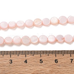 Natural Freshwater Shell Coin Beads Strands&nbsp;SH-CBACA76-17E