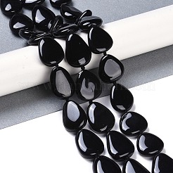 Natural Black Gemstone Beads Strands&nbsp;G-Q164-C01-01