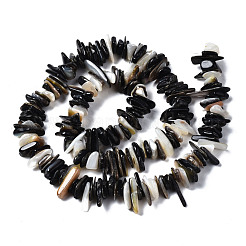 Natural Black Lip Shell Beads Strands&nbsp;SSHEL-S266-010