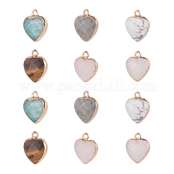 12Pcs 6 Style Electroplate Natural Gemstone Pendants&nbsp;G-LS0002-09