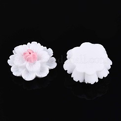 Resin Decoden Cabochons&nbsp;CRES-T025-04A