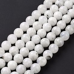 Natural Rainbow Moonstone Beads Strands&nbsp;G-I249-B04-03