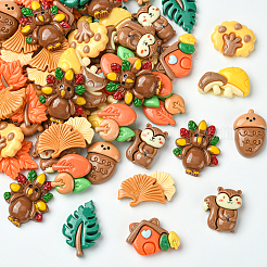 60Pcs 10 Styles Autumn Theme Resin Cabochons&nbsp;RESI-SC0006-37