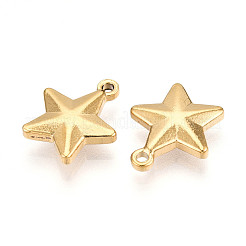 304 Stainless Steel Charms&nbsp;STAS-N109-143G