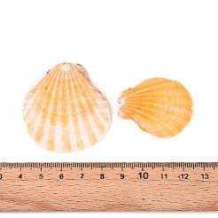 Natural Scallop Shell Beads&nbsp;SSHEL-N040-04