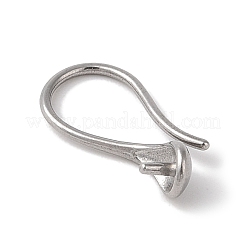 Non-Tarnish 304 Stainless Steel Earring Findings&nbsp;STAS-Z058-02P