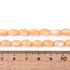 天然ニシキウズガイシェルビーズ連売り  染め  ライス  サドルブラウン  8.5~9x6mm  穴：0.8mm  約43~45個/連  15.16~15.94''（38.5~40.5cm）。&nbsp;SHEL-K006-19-01G