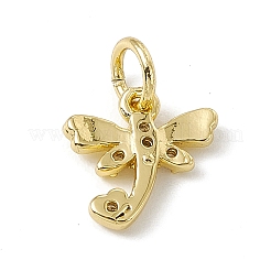Brass Micro Pave Cubic Zirconia Charms&nbsp;ZIRC-F132-21G