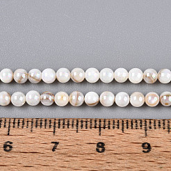 AB Color Natural Freshwater Shell Beads Strands&nbsp;BSHE-T014-40D