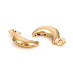 304 Stainless Steel Charms&nbsp;STAS-L244-17G