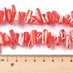 Dyed Natural Trochus Shell Beads Strands&nbsp;SSHEL-C013-09D