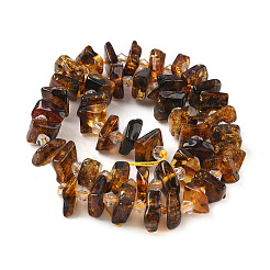 Natural Amber Beads Strands&nbsp;G-F802-A01-01