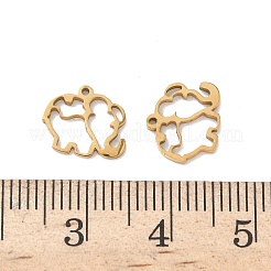 304 Stainless Steel Charms&nbsp;KK-D503-12G