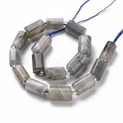 天然石ラブラドライトビーズ連売り  多面カット  コラム  8~11x6~8x5~7mm  穴：1mm  約15~17個/連  7.28~7.48インチ&nbsp;X-G-S345-8x11-001