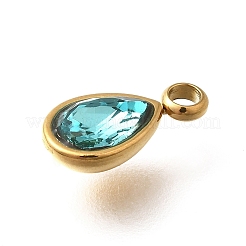304 Stainless Steel Pendants&nbsp;STAS-Q346-04G-02