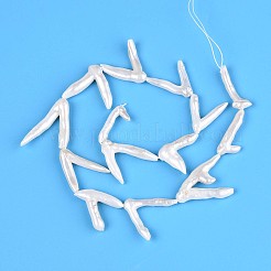 天然バロックパールケシパールビーズ連売り  養殖淡水パール  爪の形状  貝殻色  23.5~37x10.5~30x4~7.5mm  穴：0.5mm  約13~15個/連  14.76~15.16''（37.5~38.5センチメートル）&nbsp;PEAR-N021-16A