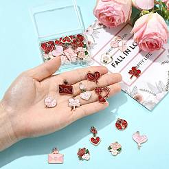 30Pcs 15 Styles Valentine's Day Theme Alloy Enamel Pendants&nbsp;ENAM-FS0004-22