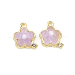 Alloy & Resin Pendants&nbsp;RE-CBA1FD3-15G