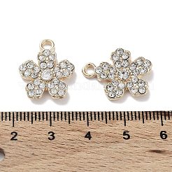 Alloy with Crystal Rhinestone Pendants&nbsp;FIND-C042-04G