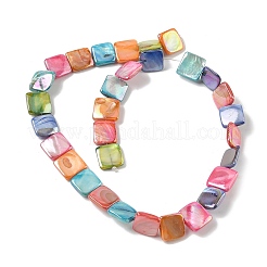 Natural Freshwater Shell Beads Strands&nbsp;SHEL-K006-54