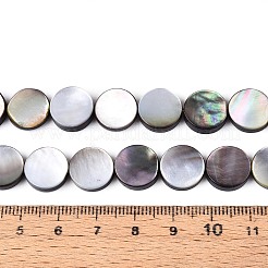 Natural Sea Shell Beads Strands&nbsp;SSHEL-D084-13A