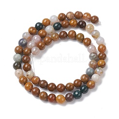 Natural Ocean Jasper Beads Strands&nbsp;G-C102-B01-01
