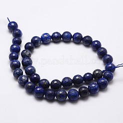 Natural Lapis Lazuli Beads Strands&nbsp;G-D840-38-8mm